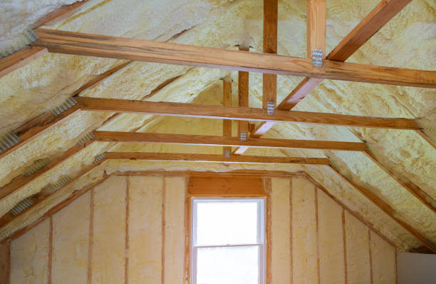 Best Home Insulation Services  in Sparta, MO