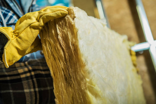 Best Insulation Contractors for Homes  in Sparta, MO
