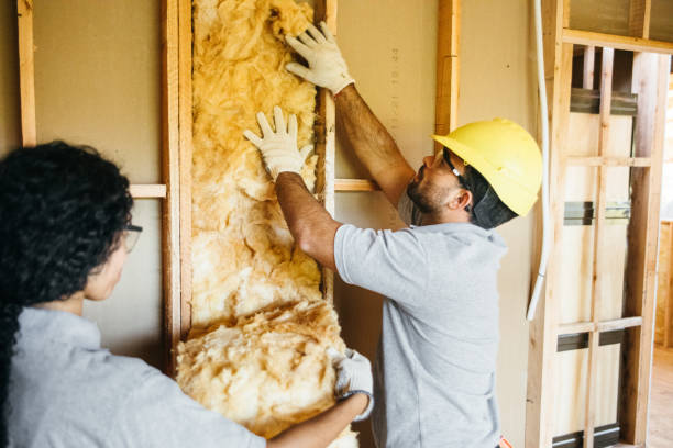 Best Residential Insulation Services  in Sparta, MO