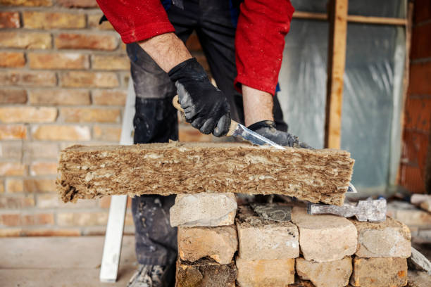 Best Local Insulation Services  in Sparta, MO