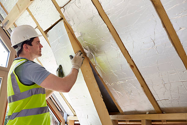 Best Best Insulation Companies  in Sparta, MO