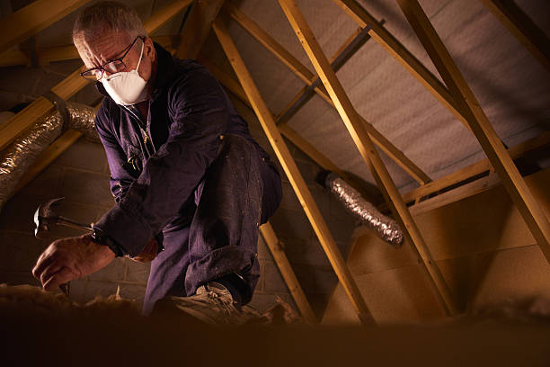 Best Insulation for New Construction  in Sparta, MO