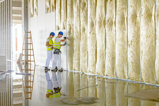 Best Crawl Space Insulation  in Sparta, MO